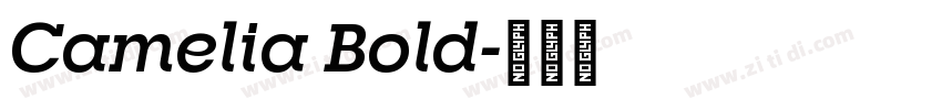 Camelia Bold字体转换 Camelia Bold字体转换